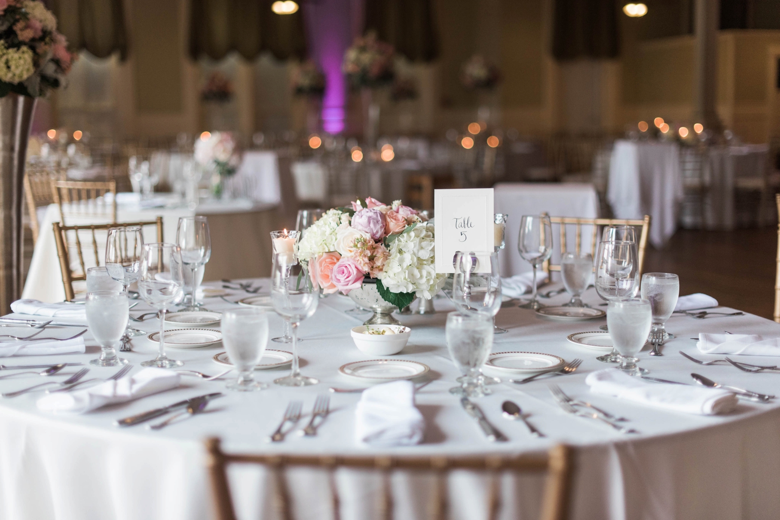Chatauqua Lake Athenaeum Hotel Wedding reception decor details blush and gold chiavari chairs