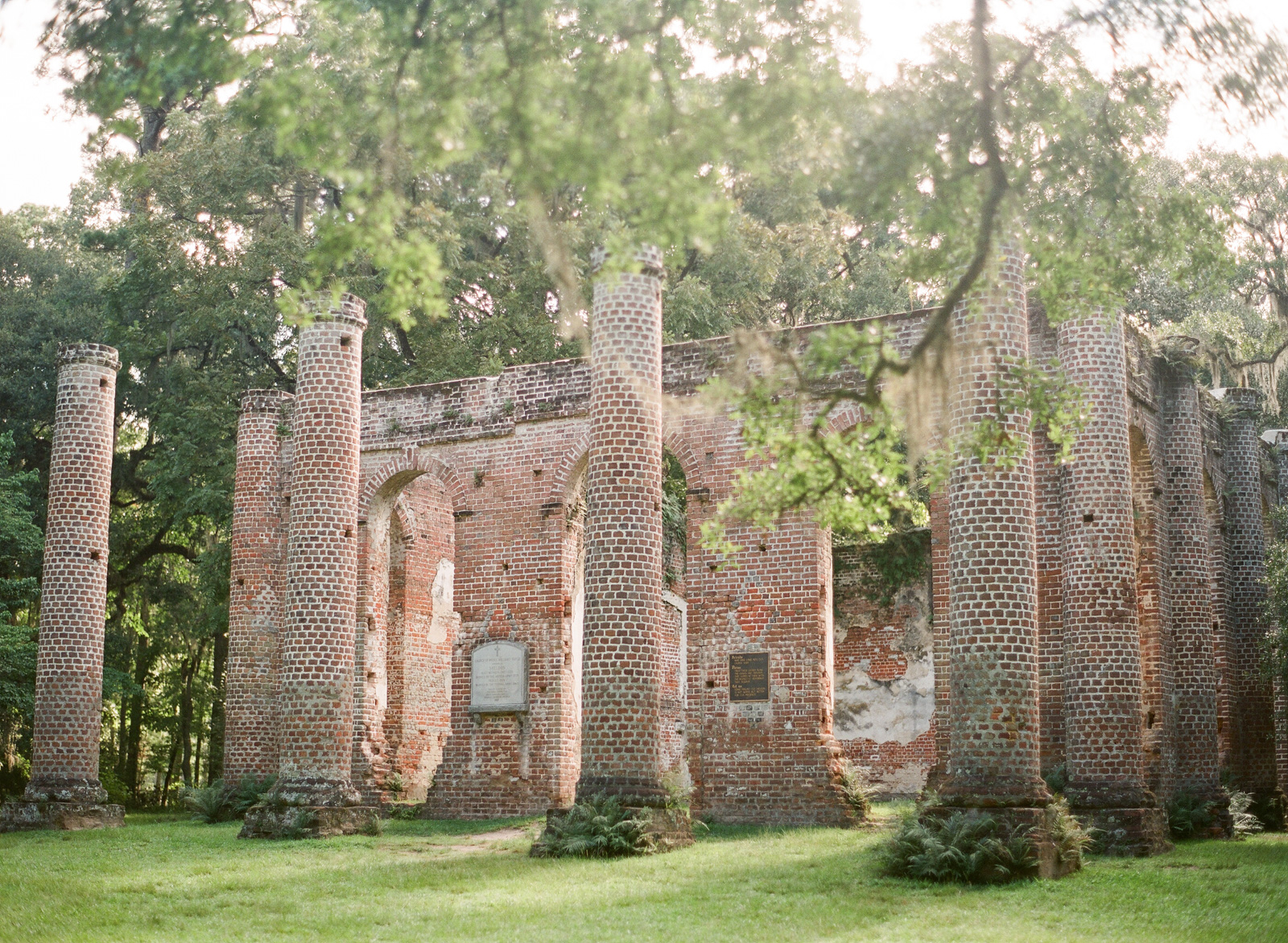 Charleston Photographer, Charleston Wedding Photographer, Travel Photography, Film Photography, Old Sheldon Church Ruins