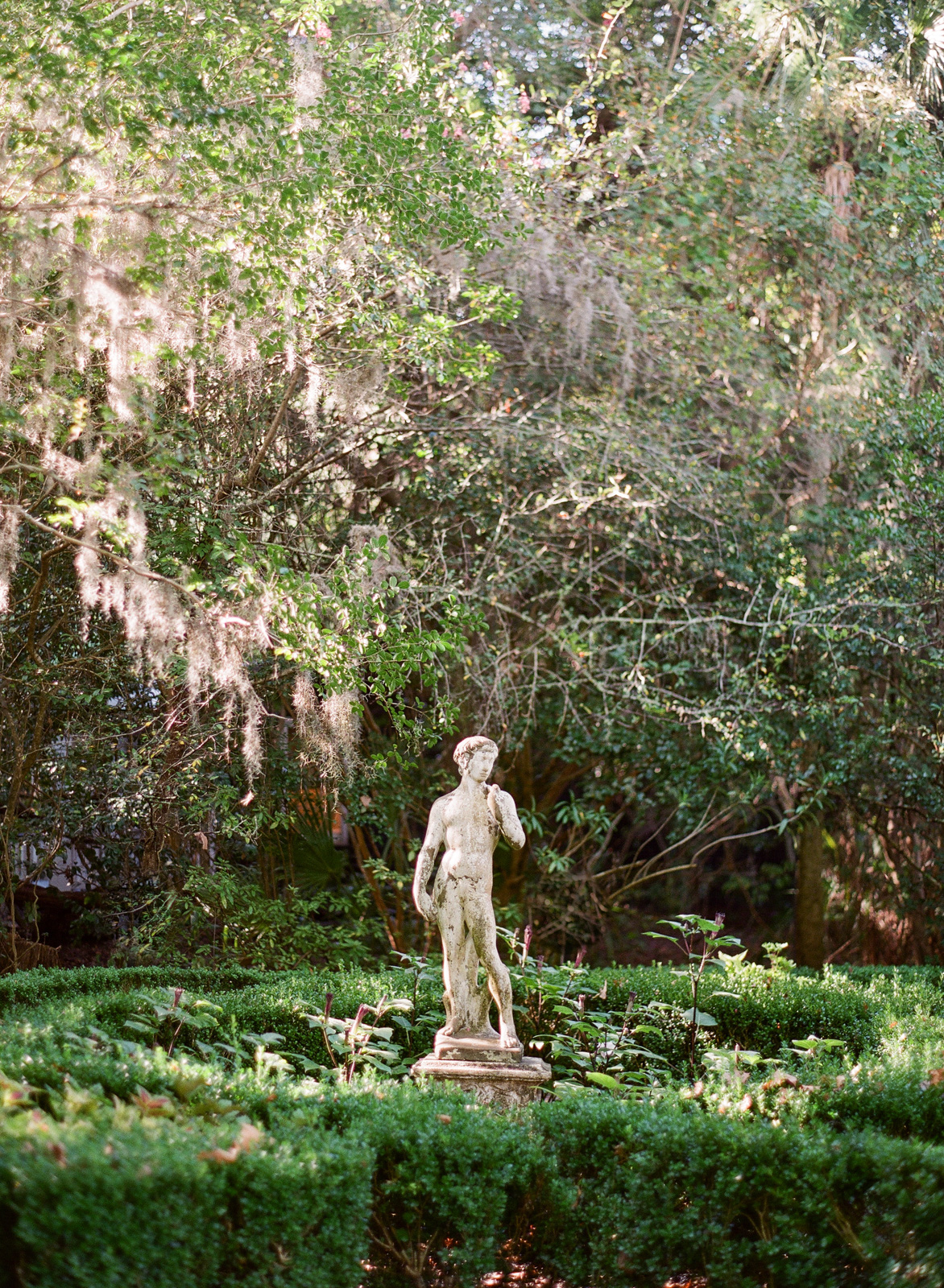 Charleston Photographer, Charleston Wedding Photographer, Travel Photography, Film Photography, Magnolia Plantation and Gardens