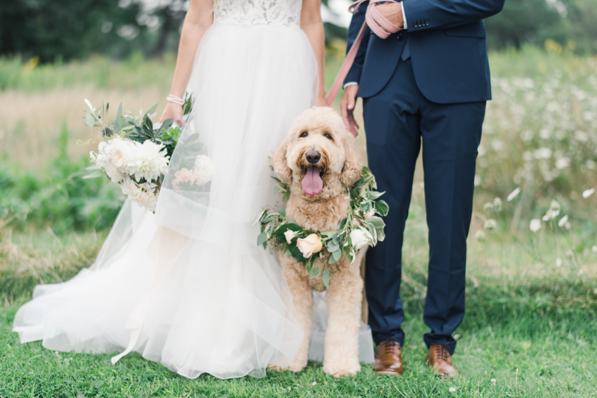acacia ballroom wedding, cleveland wedding, blush garden wedding, wedding dog, golden doodle, dog flower crown, dog floral collar, bride and groom