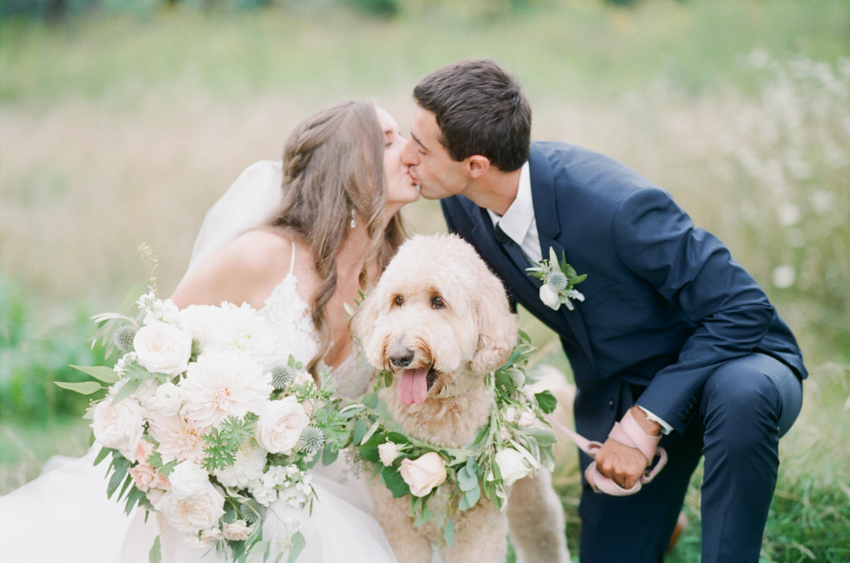 acacia ballroom wedding, cleveland wedding, blush garden wedding, wedding dog, golden doodle, bride and groom