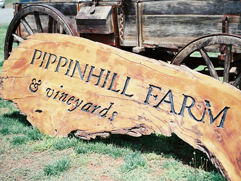 Studio Elle Photography, Fine Art Wedding Photography | Pippin Hill Farm & Vineyards Charlottesville, Virginia